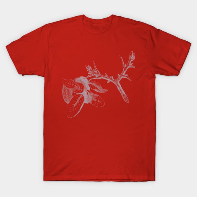 the branch T-Shirt by Jackson